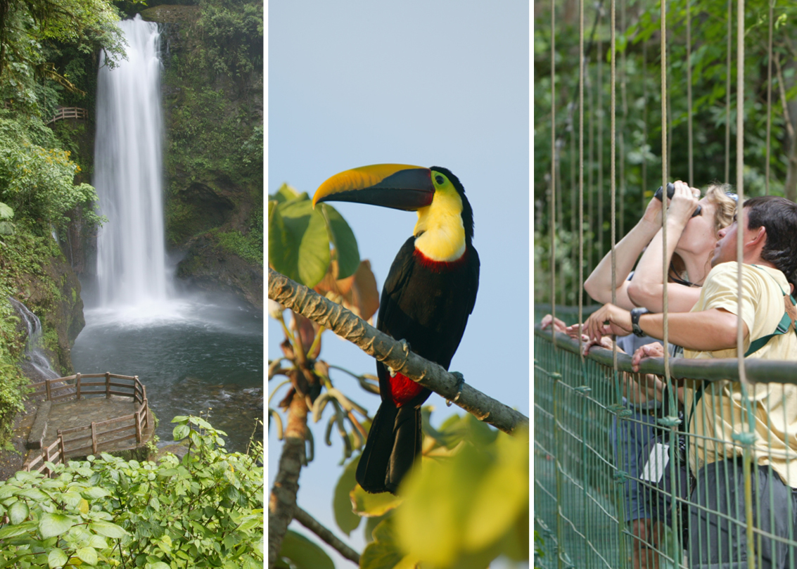 Waterfall hikes, a local resident, and bird-watching from a hanging bridge in Costa Rica with Natural Habitat Adventures.