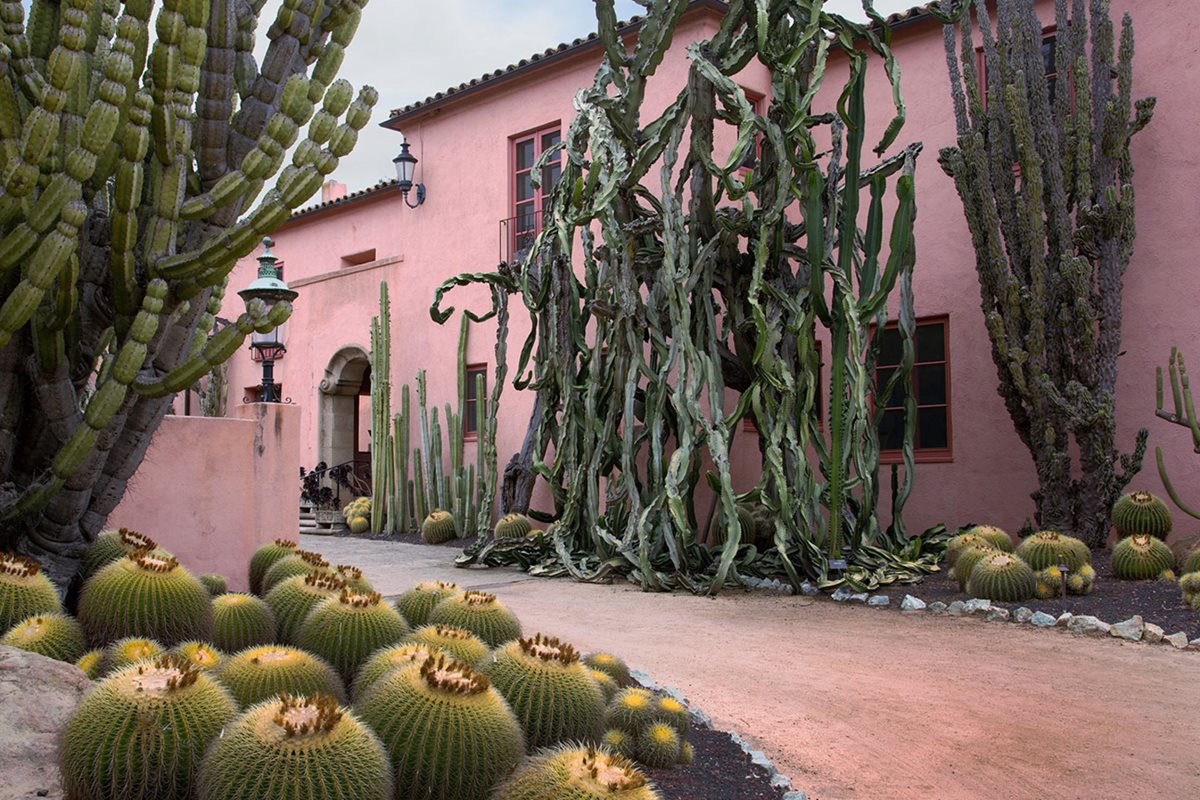 Once owned by Polish opera singer Ganna Walska, today the Lotusland estate beckons guests with 25 separate gardens.