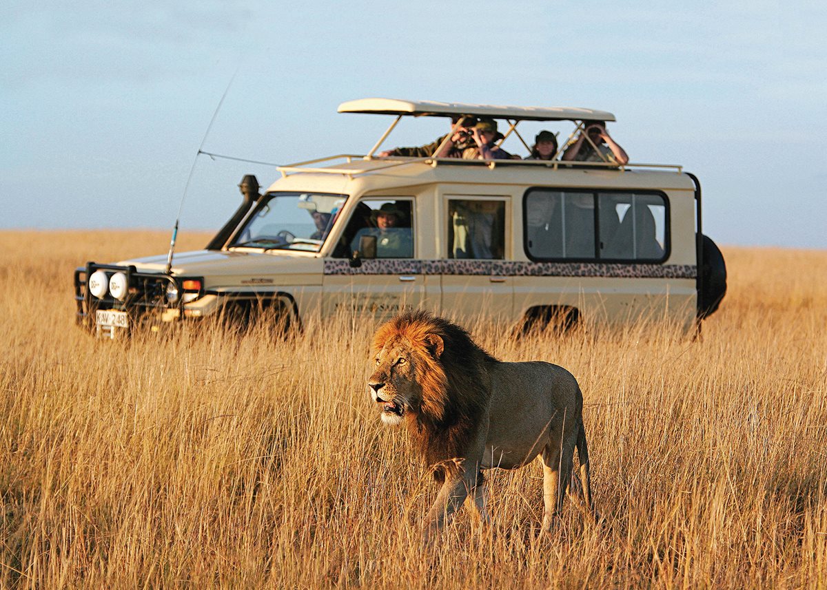 safari photography safety